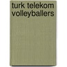 Turk Telekom Volleyballers by Not Available