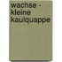 Wachse - kleine Kaulquappe