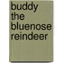 Buddy the Bluenose Reindeer