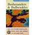 Bushmanders And Bullwinkles
