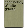 Cohomology Of Finite Groups door R.J. Milgram