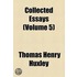 Collected Essays (Volume 5)