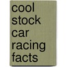 Cool Stock Car Racing Facts door Eric Braun