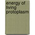 Energy Of Living Protoplasm
