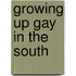 Growing Up Gay in the South