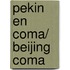 Pekin en coma/ Beijing Coma