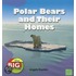 Polar Bears and Their Homes