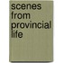 Scenes from Provincial Life