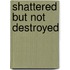 Shattered But Not Destroyed