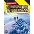 Surviving In The Wilderness