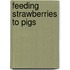 Feeding Strawberries To Pigs