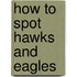 How to Spot Hawks and Eagles