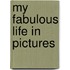 My Fabulous Life in Pictures