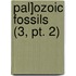 Pal]ozoic Fossils (3, Pt. 2)