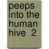 Peeps Into The Human Hive  2