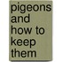 Pigeons And How To Keep Them