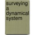 Surveying A Dynamical System