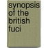 Synopsis Of The British Fuci