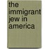 The Immigrant Jew In America
