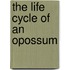 The Life Cycle of an Opossum