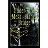 Under the Mesa Blanca Bridge door Bear Jones