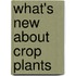 What's New About Crop Plants