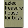 Aztec Treasure House for Boys by Thomas Allibone Janvier