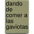 Dando de Comer A las Gaviotas