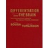 Differentiation and the Brain