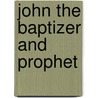 John the Baptizer and Prophet door Robert L. Webb