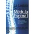 La Lesion De Lamdeula Espinal