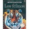 Los Felinos - Internet Linked by Stephanie Turnball
