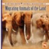 Migrating Animals of the Land