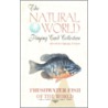 Natural World-Freshwater Fish by Us Games Systems Inc.
