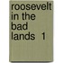 Roosevelt In The Bad Lands  1