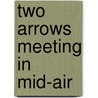 Two Arrows Meeting In Mid-Air door John Daido Loori