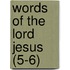 Words of the Lord Jesus (5-6)