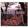 Blue Ridge Parkway Impressions door Cara Ellen Modisett