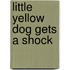 Little Yellow Dog Gets a Shock