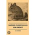 Raising Chinchillas For Profit