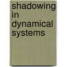 Shadowing In Dynamical Systems door Ken Palmer
