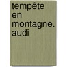 Tempête En Montagne. Audi door Giovanna Tempesta-Renaud