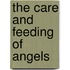 The Care And Feeding Of Angels