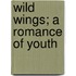 Wild Wings; A Romance Of Youth