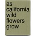 As California Wild Flowers Grow