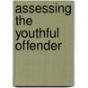 Assessing the Youthful Offender door Robert D. Hoge