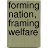 Forming Nation, Framing Welfare door Gail Lewis