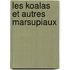 Les Koalas Et Autres Marsupiaux