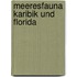 Meeresfauna Karibik und Florida
