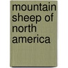 Mountain Sheep Of North America by Raul Valdez